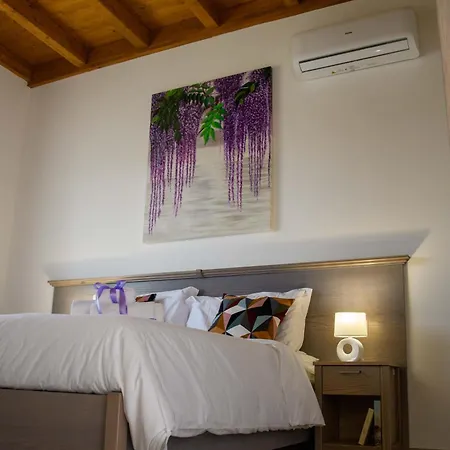 Farm stay Stella Del Rio Naro